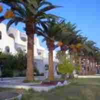 nabeul_6