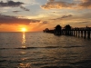 naples florida_001