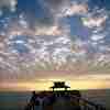 naples florida_004