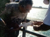 Lo squalo martello
