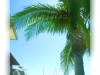  Corso Napoli a Naples_long_beach_ca_001