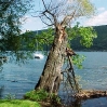 canandaigua-lake3