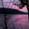 naples_ny04