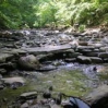 naples_ny07