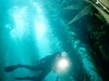 naples_santa barbara_ca_002