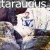 cattarugus
