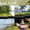 phot_wny