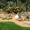 orto-botanico