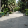 orto-botanico01