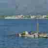 neapolis laconia