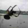 averno