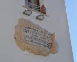 fenestrlla